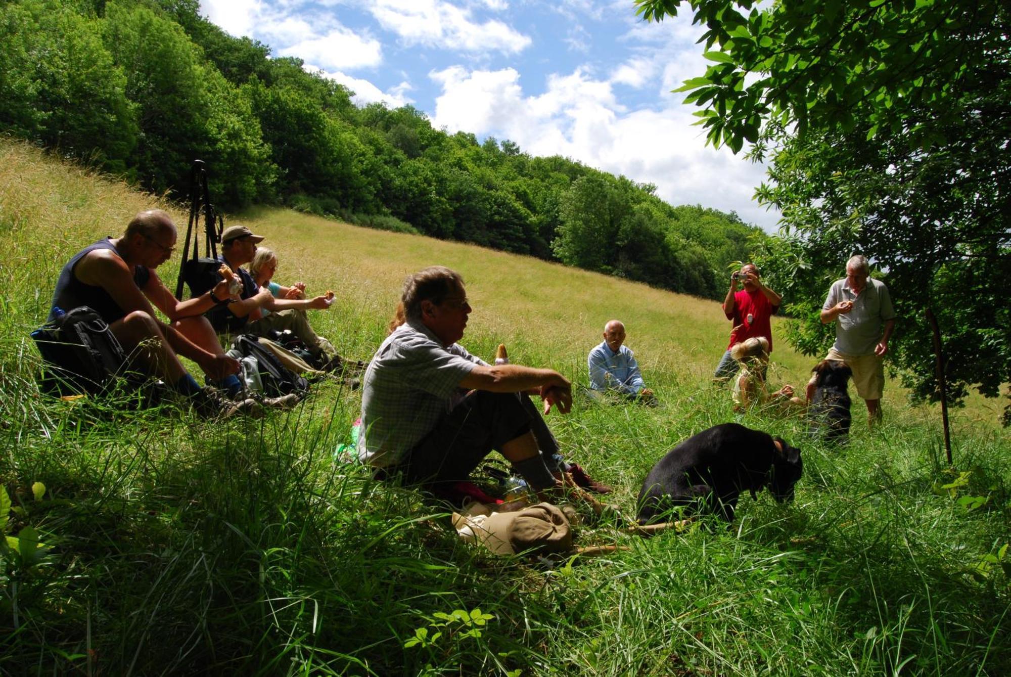 ホテル Domaine La Libaudie La Bastide-Solages エクステリア 写真